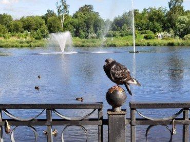 Смартфон Huawei P40 Pro+:, фото 54