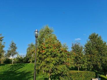Samsung Galaxy Note20 Ultra (5G):, фото 74