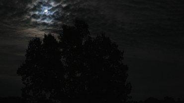 Фотоаппарат Panasonic Lumix DC-S1H:, фото 72