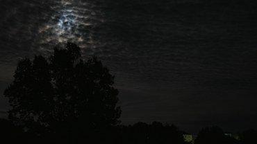 Фотоаппарат Panasonic Lumix DC-S1H:, фото 71