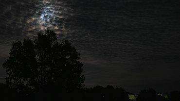 Фотоаппарат Panasonic Lumix DC-S1H:, фото 73