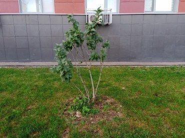 Смартфон Cubot X30:, фото 35