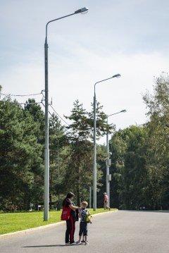 Гиперзум-объектив Tamron 28-200mm F2.8-5.6 Di III RXD для Sony E:, фото 167