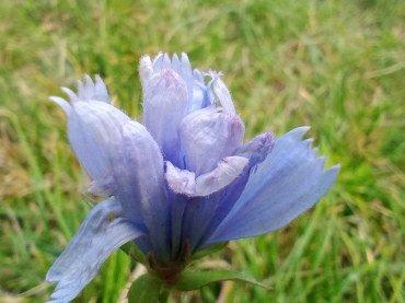 Tecno Camon 15 Pro:, фото 63