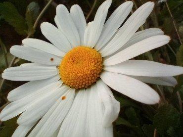 Смартфон Tecno Spark 5:, фото 48