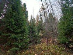 Экшн-камера GoPro Hero9 Black:, фото 96