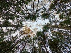 Экшн-камера GoPro Hero9 Black:, фото 100