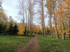 Смартфон Oppo Reno4 lite:, фото 59