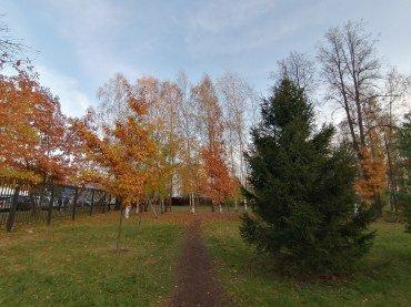 Смартфон Honor 10X Lite:, фото 51