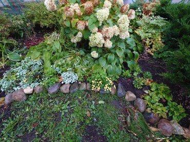 Смартфон Sony Xperia 5 II:, фото 91