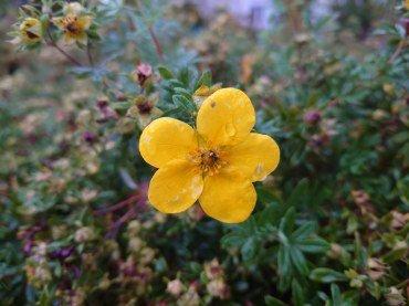 Смартфон Sony Xperia 5 II:, фото 102