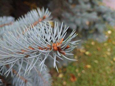 Смартфон Sony Xperia 5 II:, фото 100