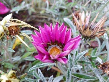 Смартфон Sony Xperia 5 II:, фото 101