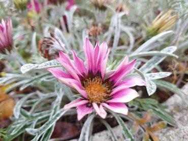 Смартфон Sony Xperia 5 II:, фото 106