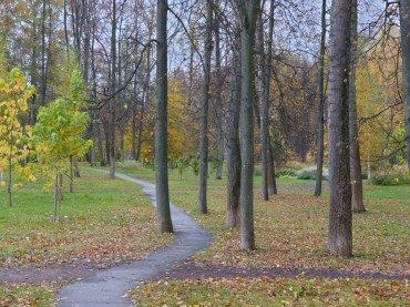 Смартфон Sony Xperia 5 II:, фото 81