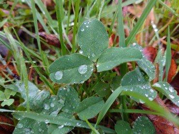 Смартфон Sony Xperia 5 II:, фото 107