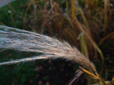 Смартфон Sony Xperia 5 II:, фото 68