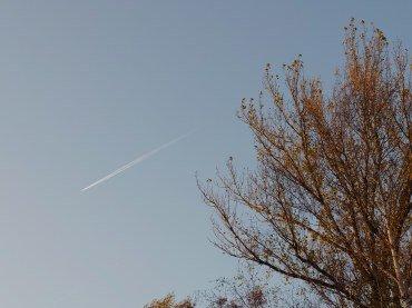 Смартфон Sony Xperia 5 II:, фото 85