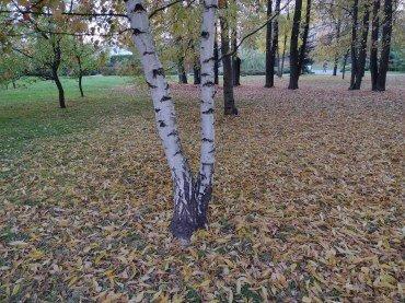 Смартфон Moto G9 Play:, фото 40