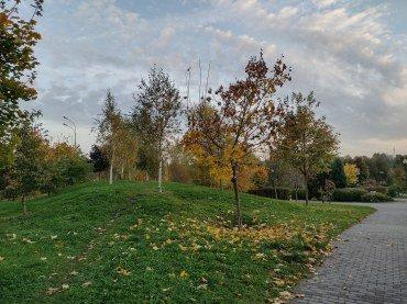 Смартфон Moto G9 Play:, фото 41