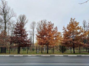 Смартфон Asus ZenFone 7 Pro:, фото 55
