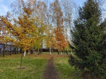 Смартфон Huawei Mate 40 Pro:, фото 56