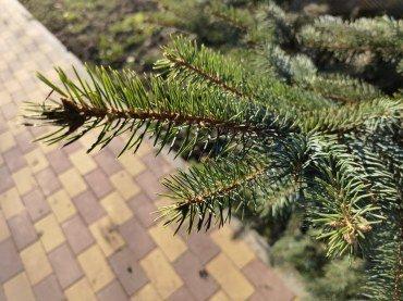 Смартфон Huawei Mate 40 Pro:, фото 45