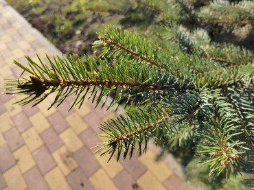 Смартфон Huawei Mate 40 Pro:, фото 44