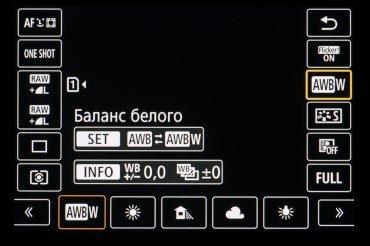 Полнокадровая беззеркальная камера Canon EOS R6:, фото 232