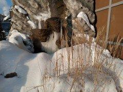 Смартфон Nokia 2.4:, фото 43