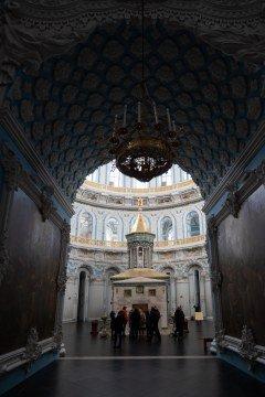 Системная беззеркальная камера Panasonic Lumix DC-S5:, фото 478