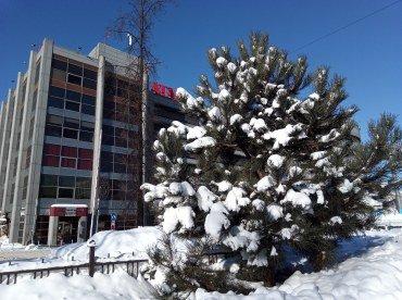 Смартфон BQ Aurora 6430L:, фото 30