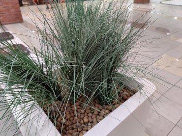 Флагманский смартфон OnePlus 8 Pro:, фото 56