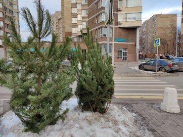 Флагманский смартфон OnePlus 8 Pro:, фото 58