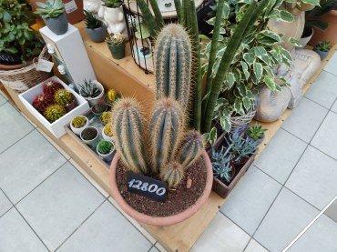 Смартфон Realme 8 Pro:, фото 57