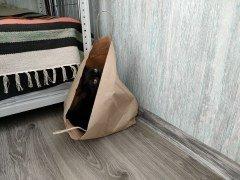 Смартфон Oppo Reno5:, фото 56