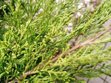 Смартфон Infinix Hot 10 Play:, фото 31