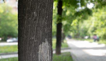 Сверх­&shy;светосильный объектив Nikkor Z 50mm f/1.2 S:, фото 14