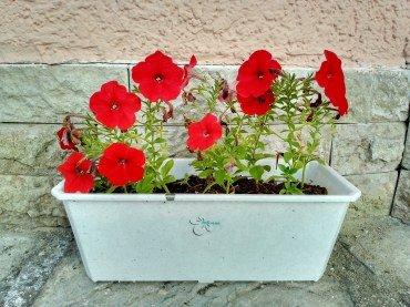 Смартфон BQ 6645L Element:, фото 43