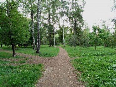 Смартфон BQ 6645L Element:, фото 44