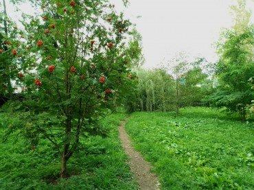 Смартфон BQ 6645L Element:, фото 45