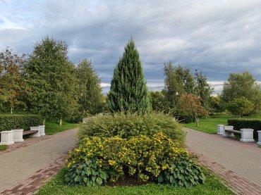 Смартфон Huawei Nova 8:, фото 62
