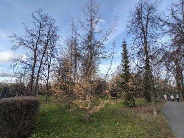 Смартфон Huawei Nova 9:, фото 59
