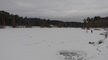 Видеокамера Canon XF605:, фото 56