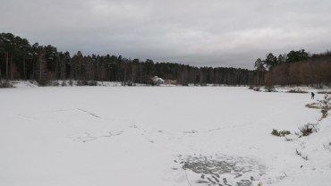 Видеокамера Canon XF605:, фото 58