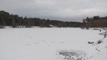 Видеокамера Canon XF605:, фото 59