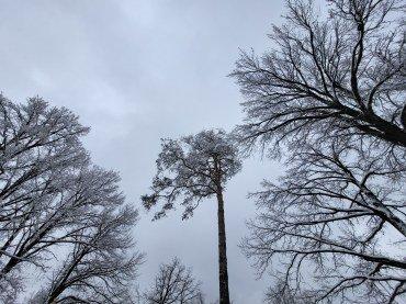 Смартфон Samsung Galaxy S21 FE:, фото 61