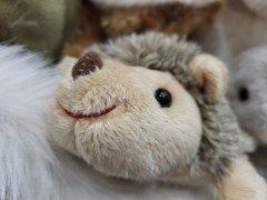 Смартфон Samsung Galaxy S21 FE:, фото 56