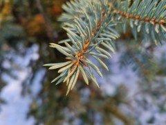 Смартфон Samsung Galaxy S22+:, фото 64