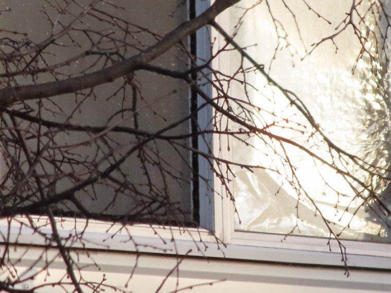 Цифровой монокуляр Canon PowerShot Zoom:, фото 89